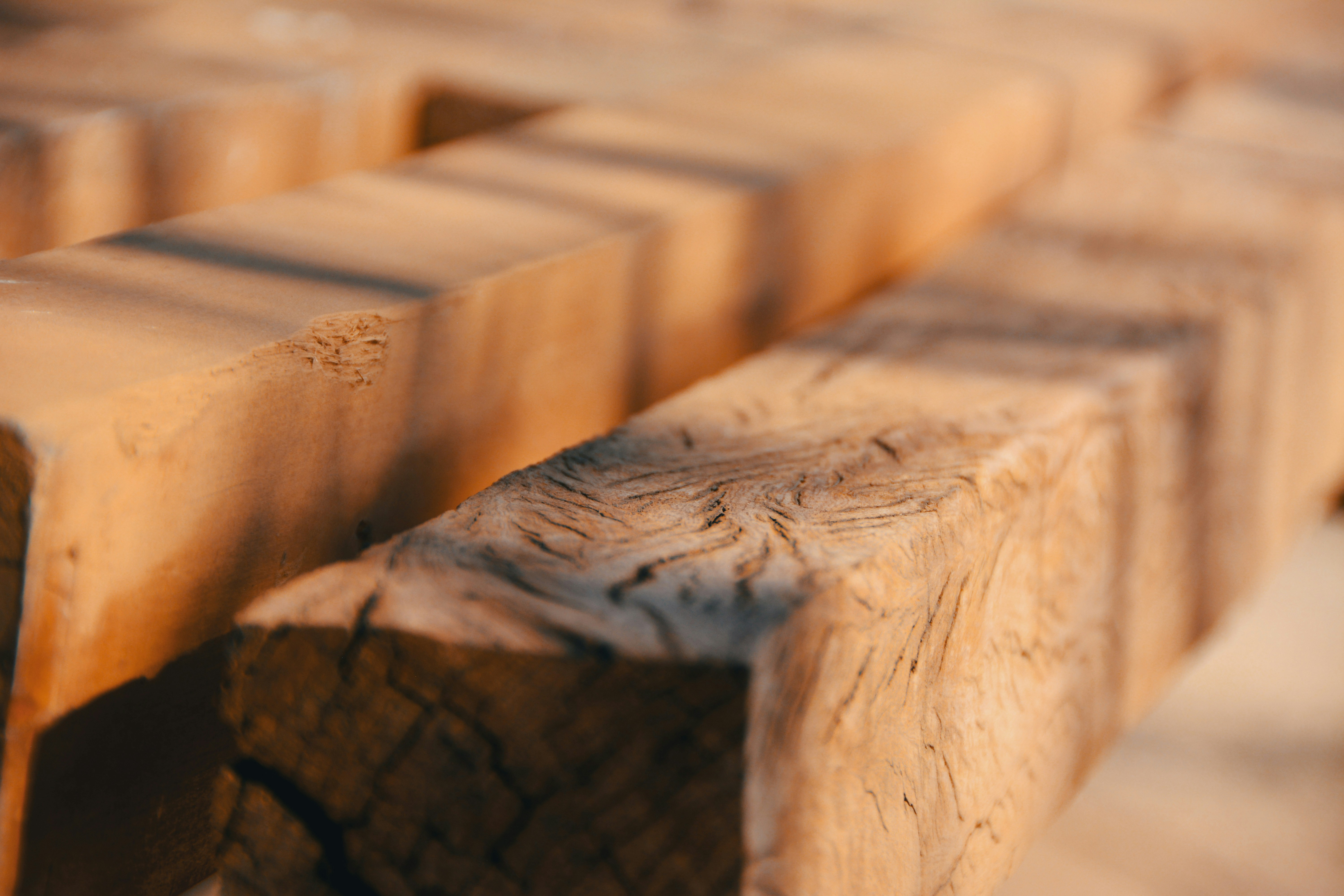 Softwood vs Hardwood: What They Do to Your Tools